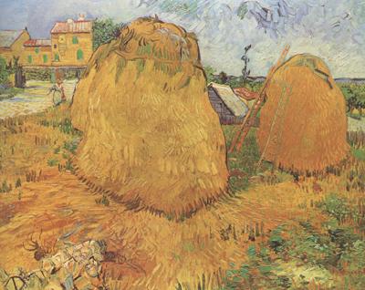 Vincent Van Gogh Haystacks in Provence (nn04)